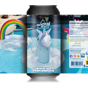 Mock-Up-J'peux-Pas-J'ai-Piscine